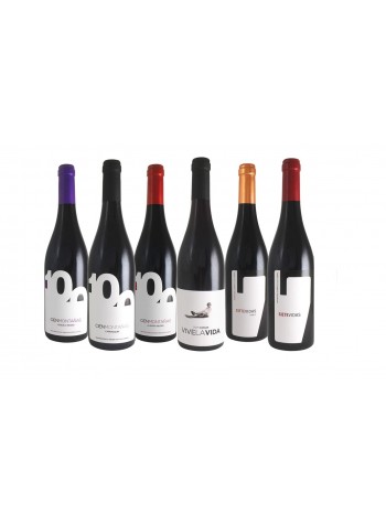 Pack de Vinos VidAs